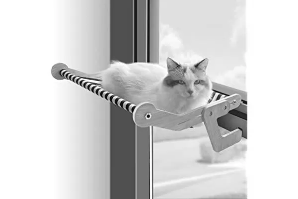 サッカー日本代表オーストラリア戦日程が決定！チケットぴあで高確率で手に入れる３つの方法！ photo 2