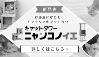いかにしてサッカーオーストラリア代表は強豪を圧倒する強さを手にしたか！？ photo 1