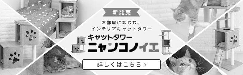 いかにしてサッカーオーストラリア代表は強豪を圧倒する強さを手にしたか！？ photo 1