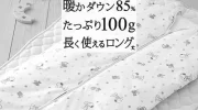 なぜ、鹿島アントラーズの年俸総額は安いのか？ image 1