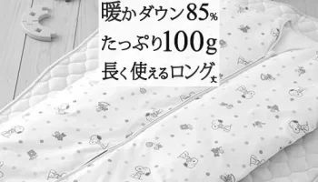 なぜ、鹿島アントラーズの年俸総額は安いのか？ image 1
