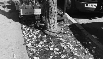 本田圭佑の兄弟とはどんな人物？サッカーと血液型の関係に迫る偏見ブログ image 3