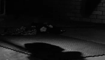 香川真司論争の終着点“避難所”とは！？ image 1