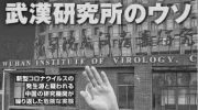 本田圭佑が持つオーストリアのクラブチームとは？その謎に迫る。 photo 3