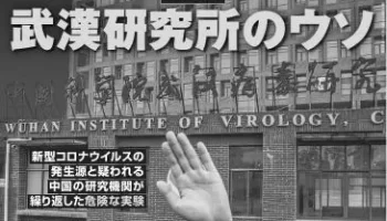 本田圭佑が持つオーストリアのクラブチームとは？その謎に迫る。 photo 3