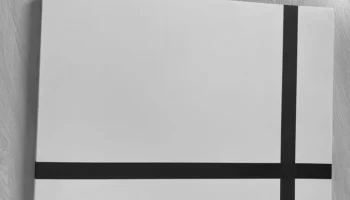 羽生結弦の引退後にまつわる秘密！ photo 3