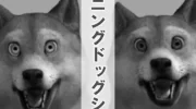 本田圭佑プレー検証！スピード不足？上手い能力をスターと比較 image 3