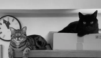 【画像あり】香川真司の名言が深いと話題に！ photo 3