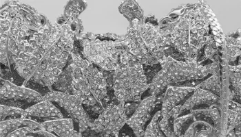 【身長＆体重】宇野昌磨の体が大きくならない理由･･･ image 1