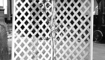 【画像大量】香川真司の背番号変更の真相を追跡する！ image 3